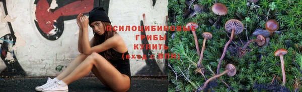 прущая мука Пересвет