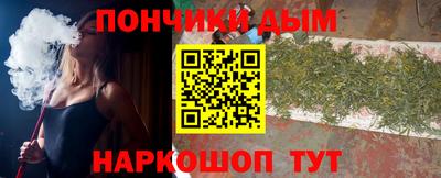 индика Гусев