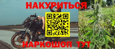 индика Гусев