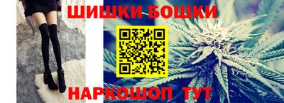 индика Гусев