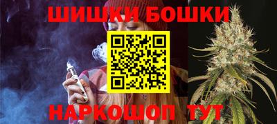 индика Гусев