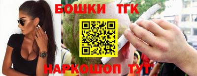 индика Гусев