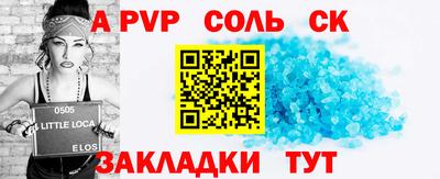 индика Гусев