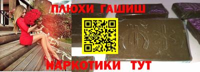 индика Гусев