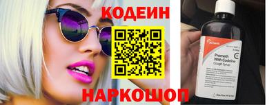 индика Гусев