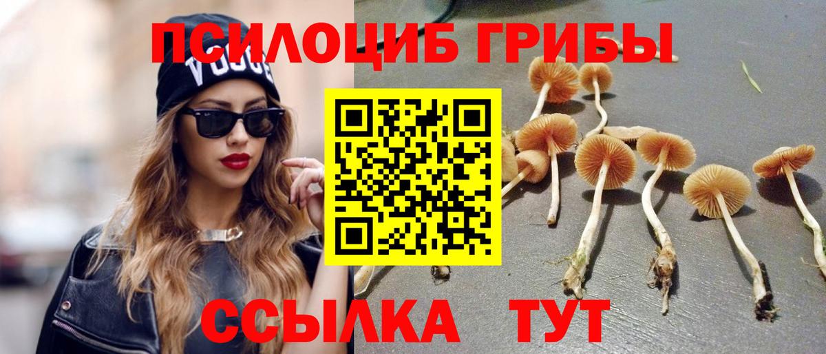 Галлюциногенные грибы Cubensis  Псилоцибиновые грибы MAGIC MUSHROOMS  Вход с VPN  Кинель 